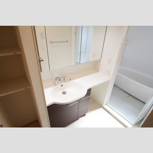 Peony豊明203号室 洗面