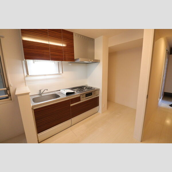 ヴィラ　ウエストⅡ202号室 システムキッチン