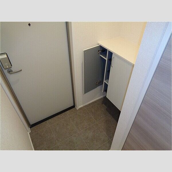 ラッキーレジデンス 玄関