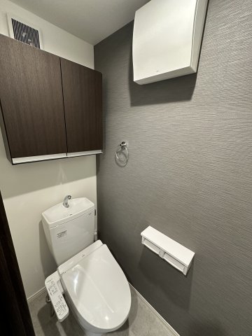 ベイルーム田奈Ⅰ303号室 トイレ