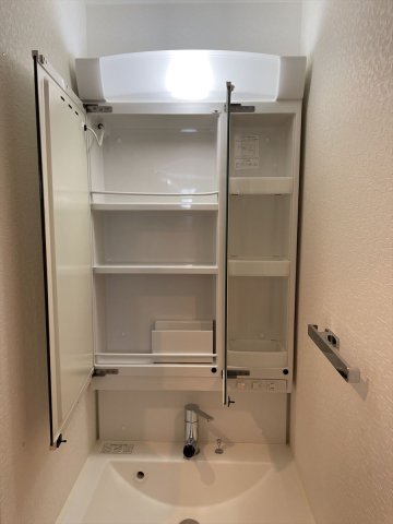 DIPS大山東町801号室 洗面