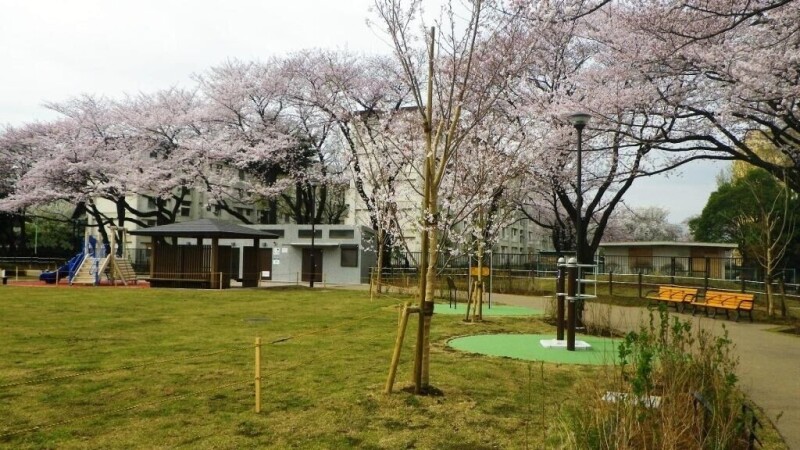 プラティーク馬事公苑(E-180)2階 上用賀四丁目公園