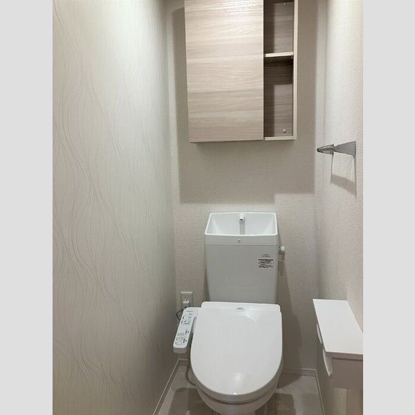 D-est201号室 トイレ