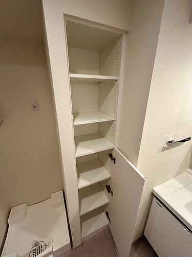 クレアホームズフラン東京三ノ輪２ 室内洗濯機置場側リネン