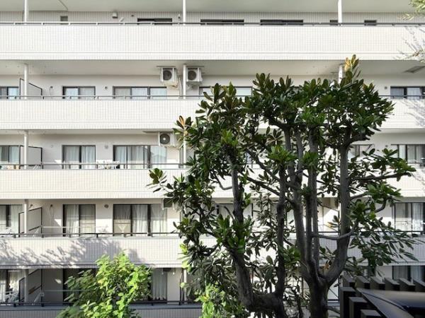 Ｌａ　Ｐｅｒｌａ　Ｎａｋａｎｏ4階 部屋その他