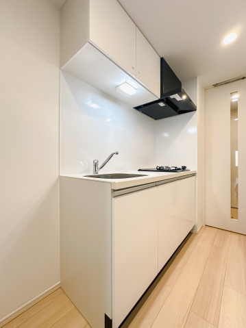 スカイコートリュクス品川大崎103号室 キッチン