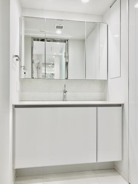 三田ガーデンヒルズ　サウスヒル13階 洗面