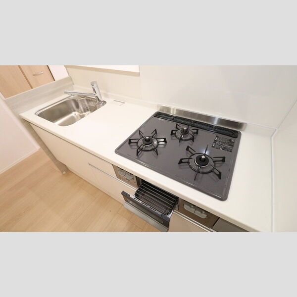 ビーネ北坂戸201号室 システムキッチン