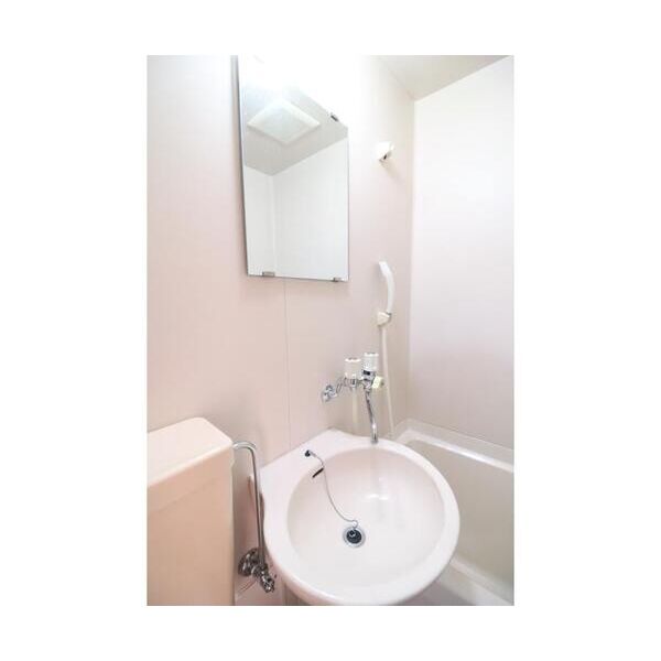 アメニティ東戸塚101号室 洗面