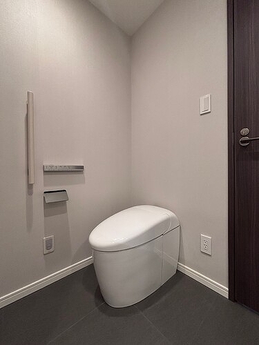 麻布台ヒルズレジデンスＢ29階 トイレ