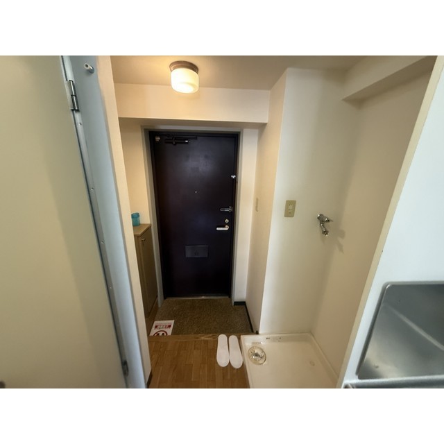 メゾン・ド・ディマンシェ601号室 玄関