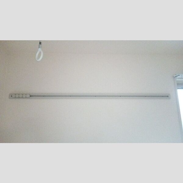 ロイヤルクレッセント西登戸参番館103号室 ハングバー