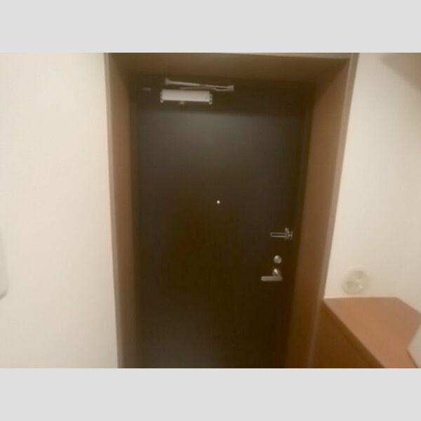 クリエイティブ12202号室 玄関