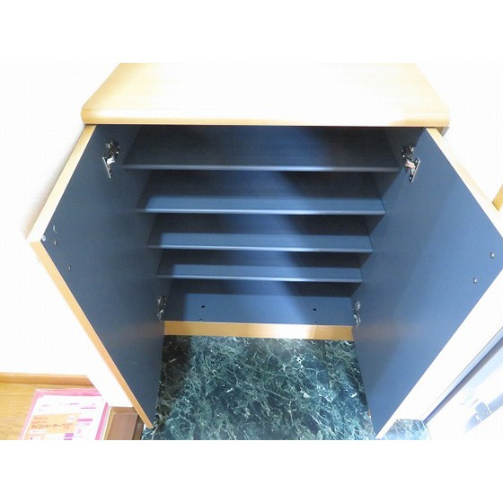 ヴィレッジ・イン・上高井戸0202号室 シューズボックス