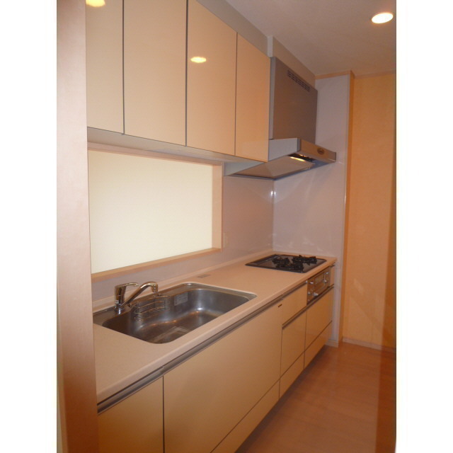 アムール 優105号室 キッチン