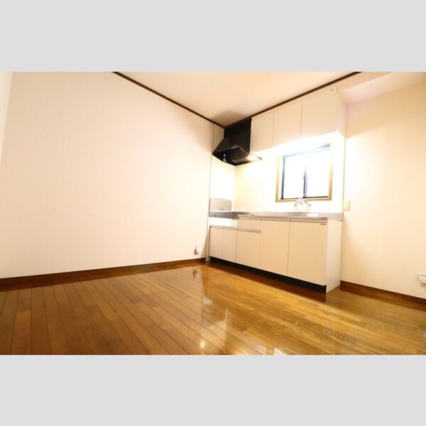 ハイネス大嶋102号室 DK5.25帖