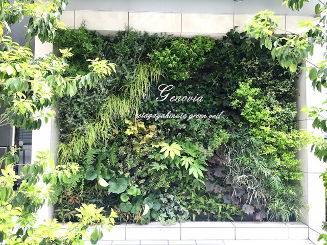 ジェノヴィア世田谷砧グリーンヴェール5階 部屋その他