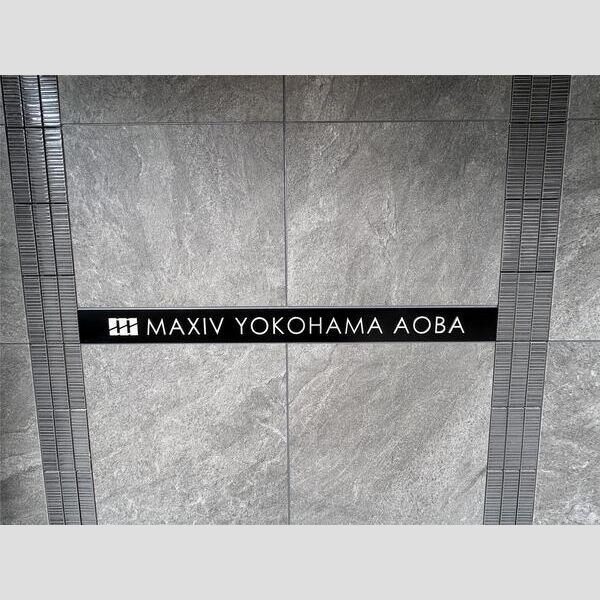 MAXIV横浜青葉106号室 部屋その他