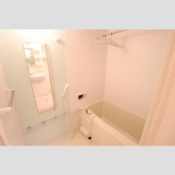 カメリア武蔵藤沢105号室 浴室