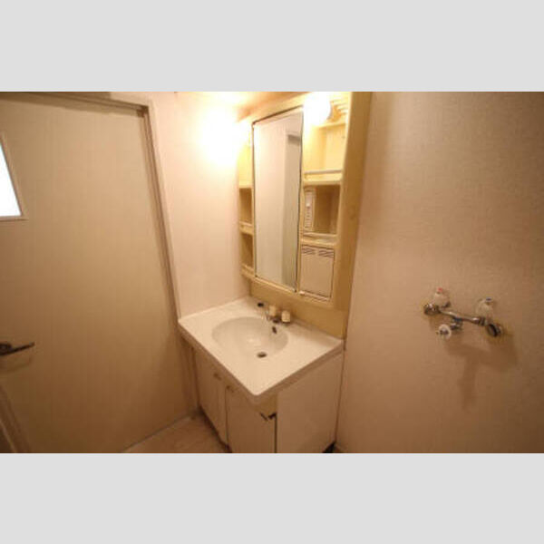 フラワーフィールドマンション 洗面化粧台