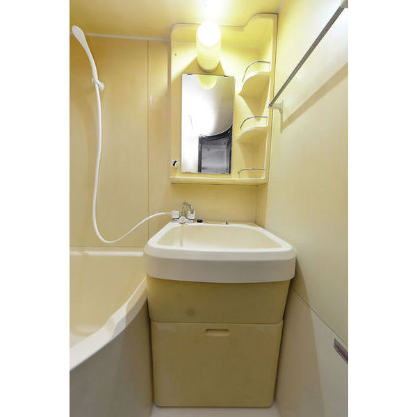 ラ・パルフェ・ド・セヴェールNO.40105号室 洗面