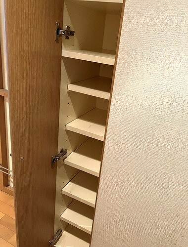 ロワール関内エナジス 下足入