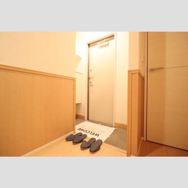 ステラ前ヶ崎103号室 玄関