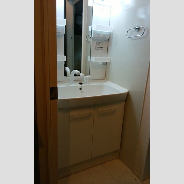 Carpe lux105号室 独立洗面化粧台