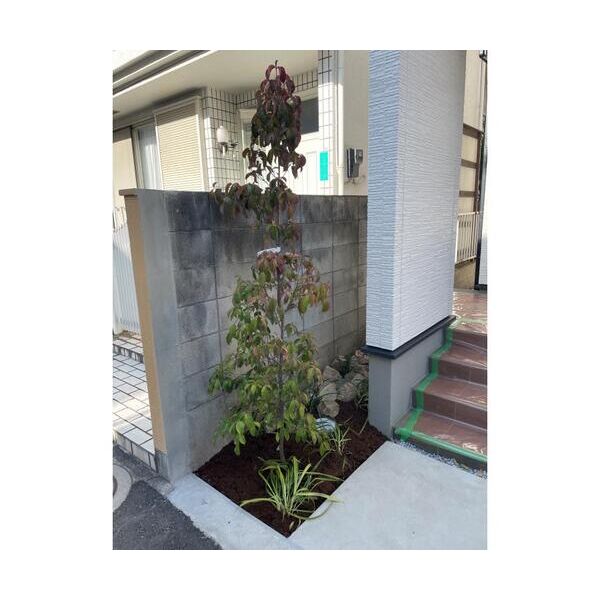 杉並区和泉1丁目貸家A号室 部屋その他