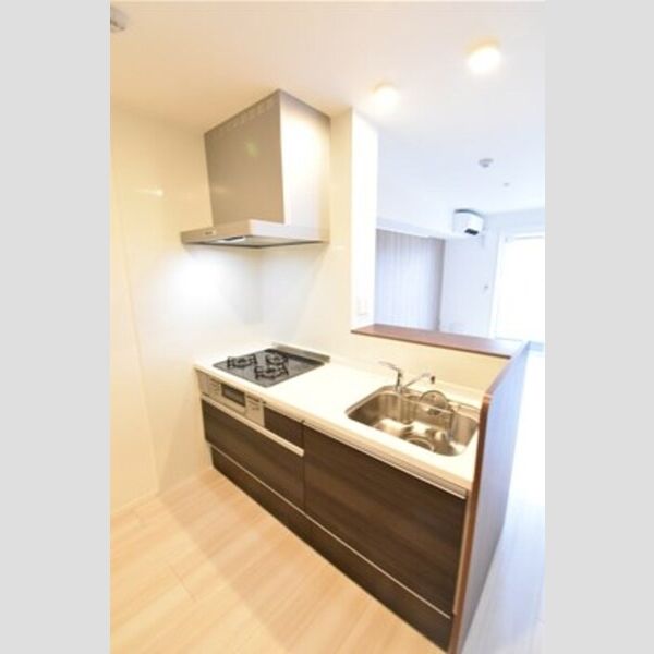 ラ・パージュ桜205号室 システムキッチン