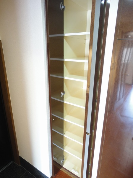 日神パレステージ西麻布1105号室 収納