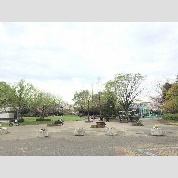 ポポの木 八王子公園
