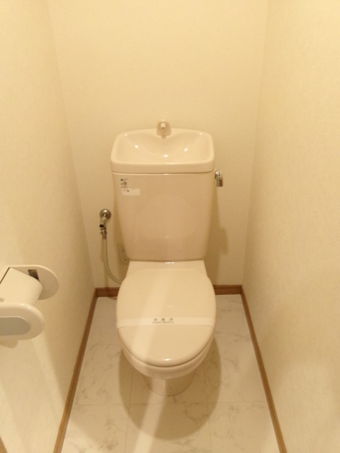 Ｔ－ＨＡＵＳ0801号室 トイレ