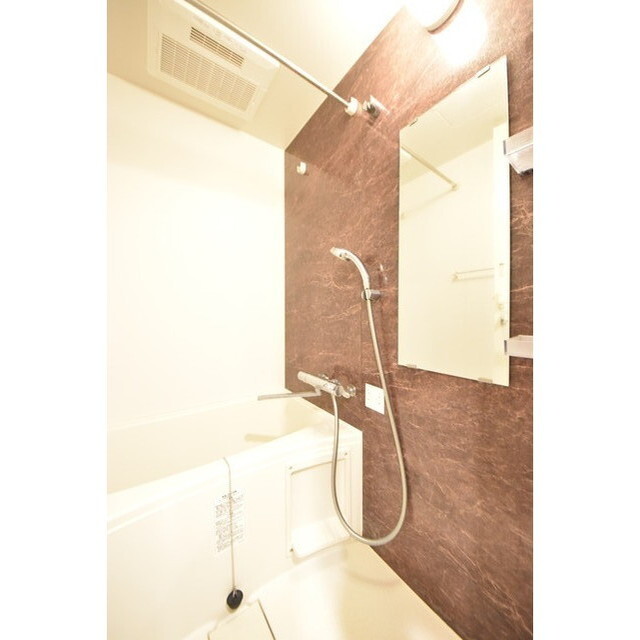 Court Blanche0117号室 内観