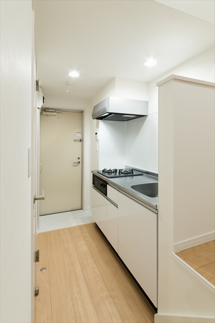 ジオーレ稲田堤 システムキッチン