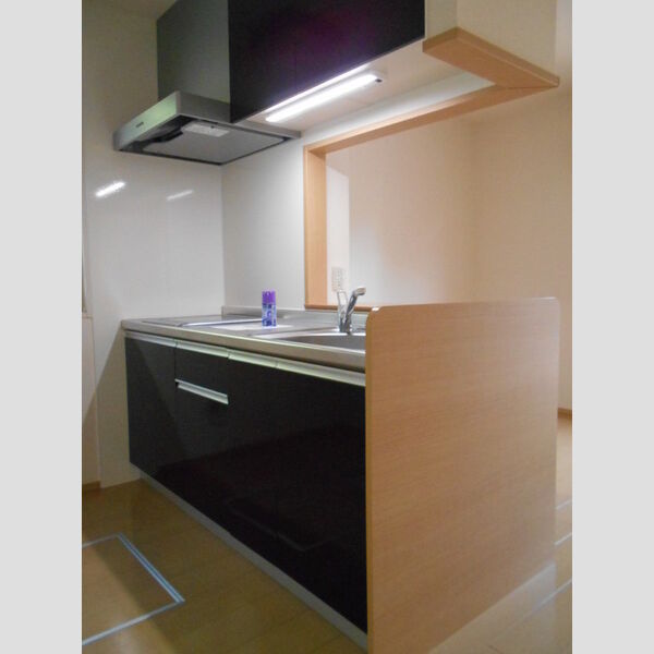 エレガンテ　A202号室 キッチン