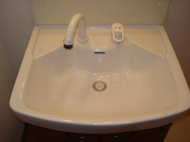 ヴィラ　エスポワール302号室 洗髪洗面化粧台