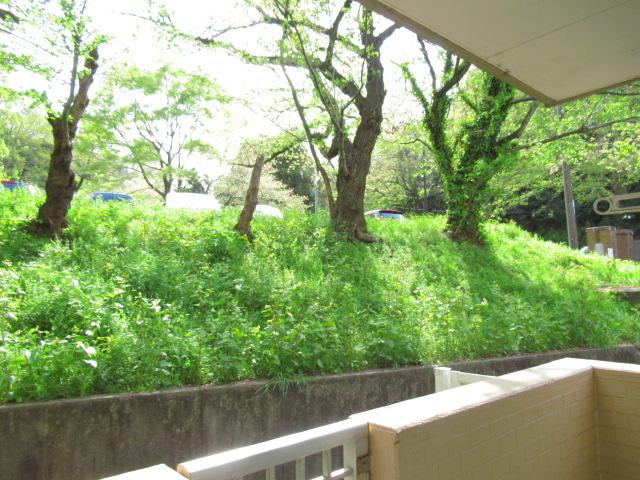 ニュー今井堂マンション00103号室 ベランダからの眺望