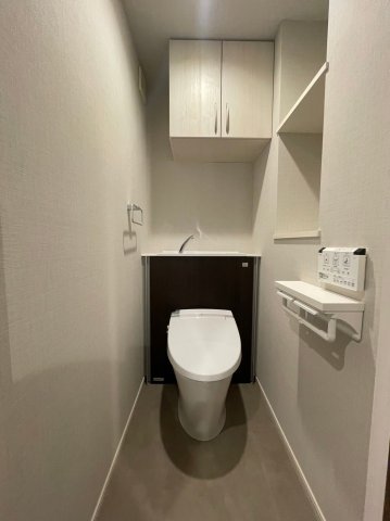 DIPS練馬春日町107号室 トイレ