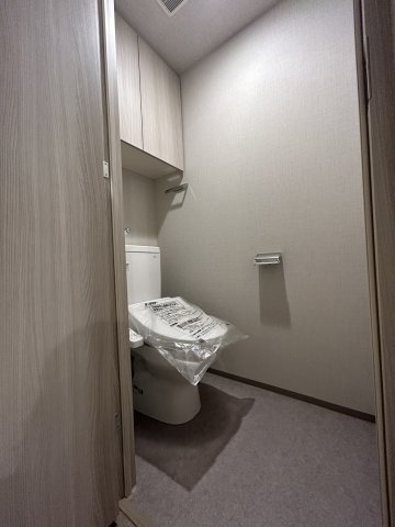 DIPS明大前310号室 トイレ