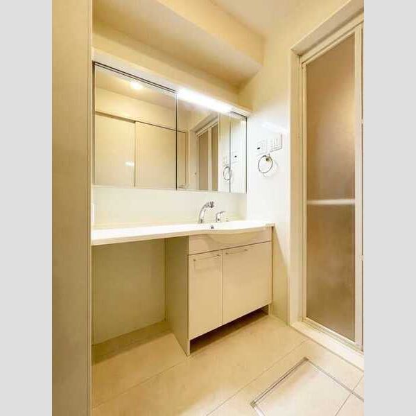 ブライト　A105号室 洗面