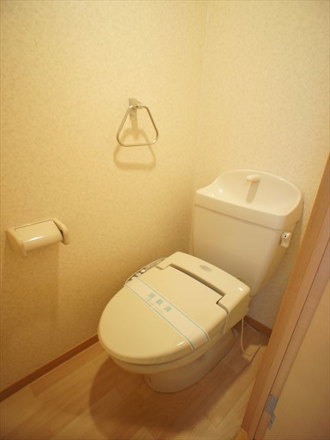ルミエール・エタンセル0204号室 洗浄暖房便座付きトイレです。