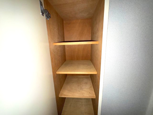 Ｆ５ハクジュハウス310号室 収納