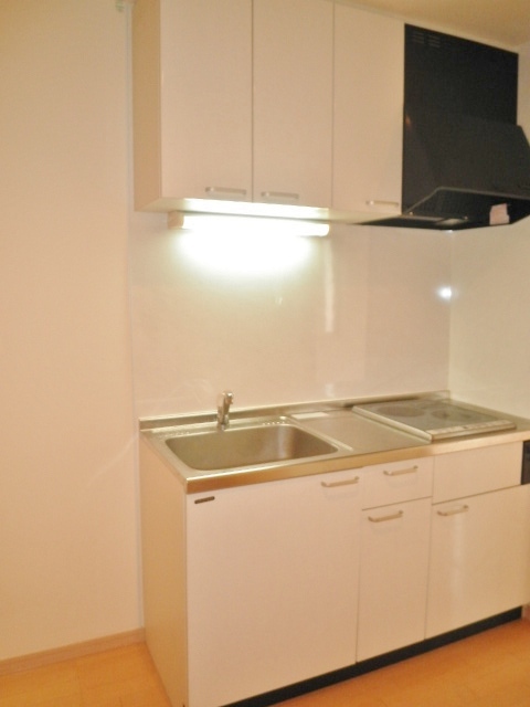 ソフィー武蔵野0201号室 ２口ＩＨシステムキッチン