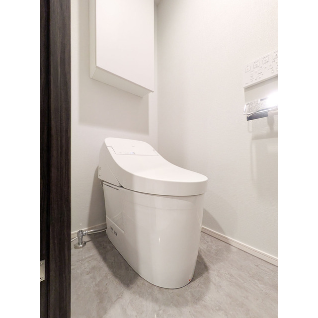 ACP Residence 新江古田0206号室 内観