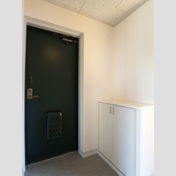 フジスカイマンション 玄関