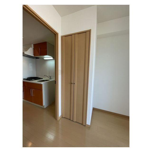 Conde相模原1102号室 内観