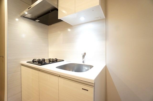 ステージファースト浅草橋Ⅳ5階 玄関