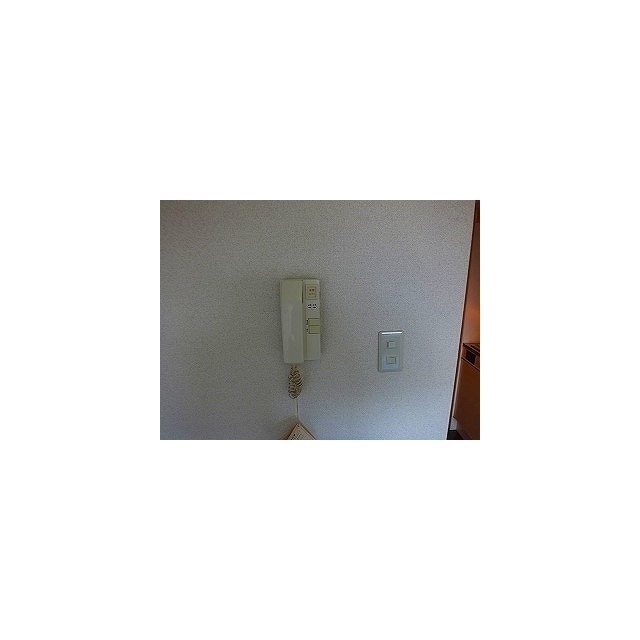 エルヴィーナ緑ヶ丘0303号室 インターホン