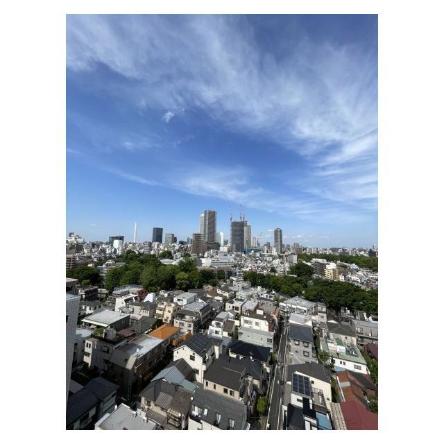 THE GATEHOUSE雑司が谷1205号室 部屋その他